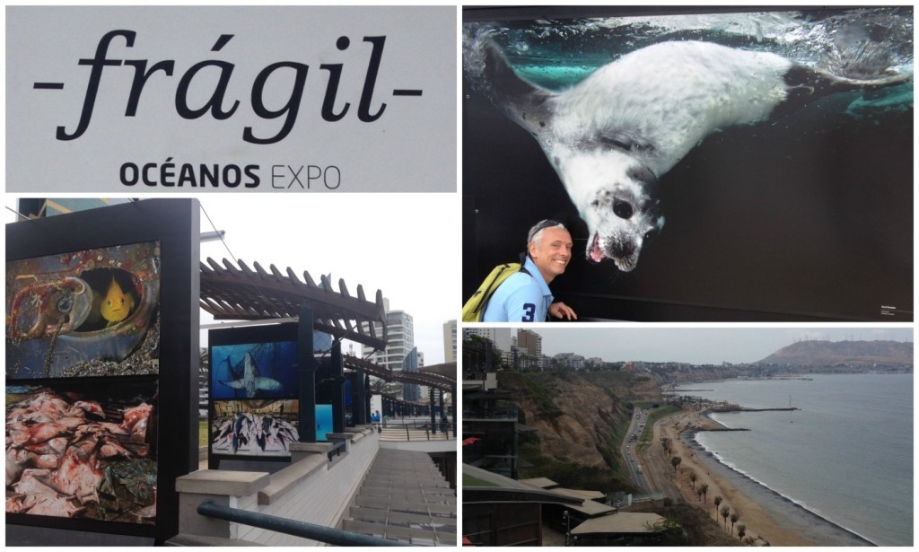 An Ocean expo - Fragil is displayed along the walkway  