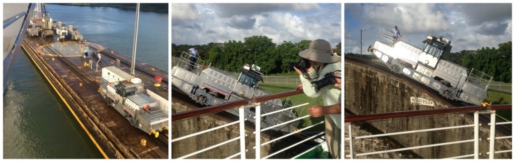 These mules keep the ship from hitting the sides of the Panama Canal 
