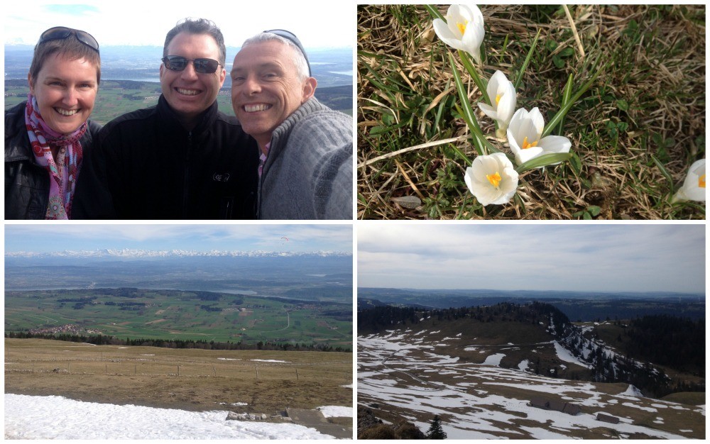 Mountain flowers and views on Chasseral in Switzerland