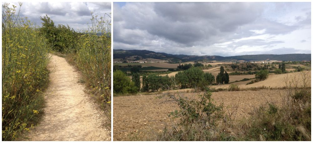 The way on the Camino 2015